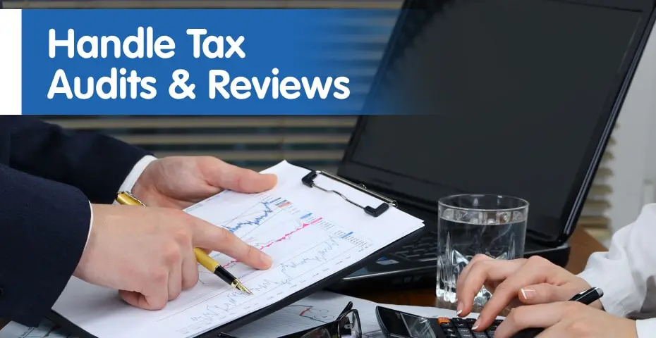 Handle Tax Audits & Reviews