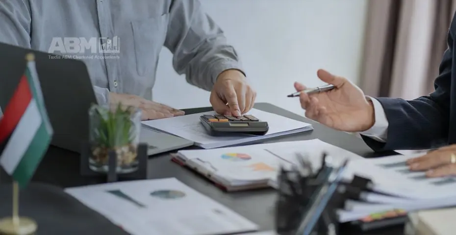Budgeting Tips for Businesses Operating in the UAE