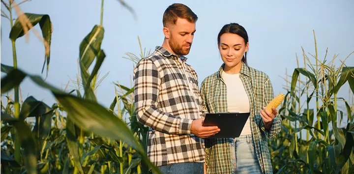 Agriculture Accounting